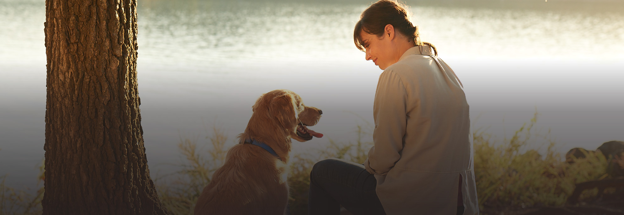 Women with dog sitting under a tree