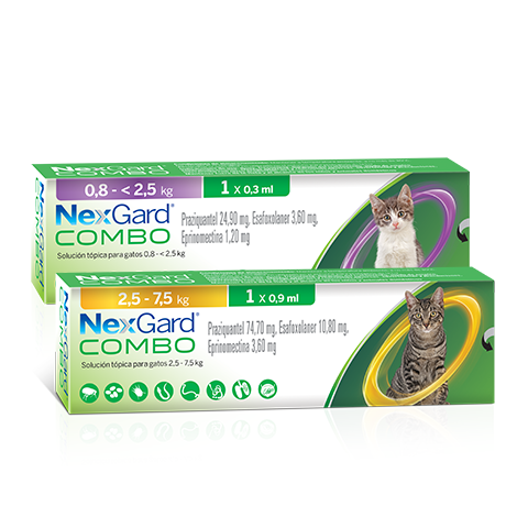 NexGard Combo for Cats Products