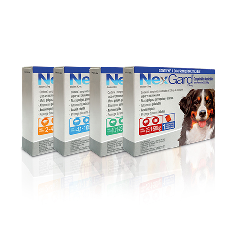 NexGard for Dogs