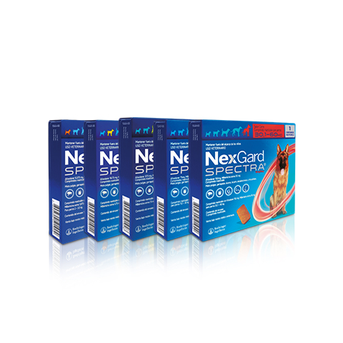 NexGard Spectra for Dogs