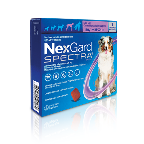 NexGard Spectra for Dogs