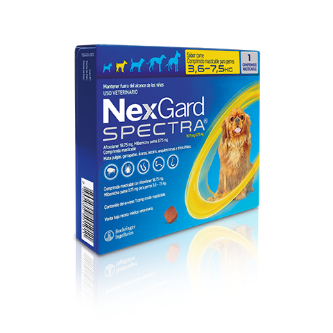 NexGard Spectra for Dogs