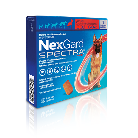 NexGard Spectra for Dogs