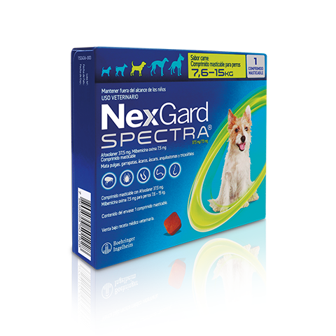 NexGard Spectra for Dogs